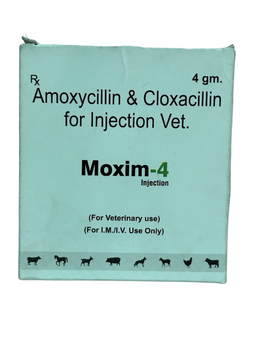MOXIM-4