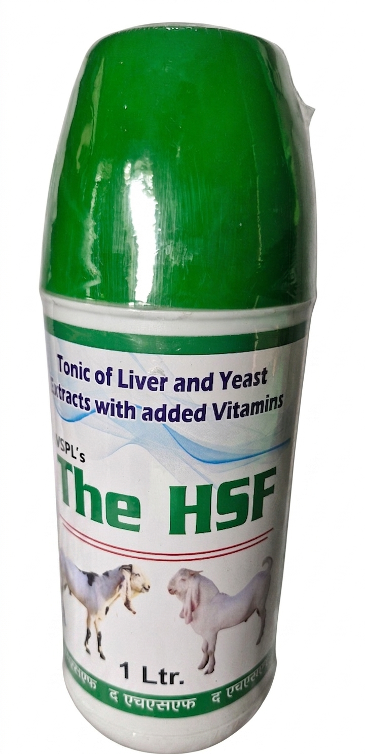 THE HSF