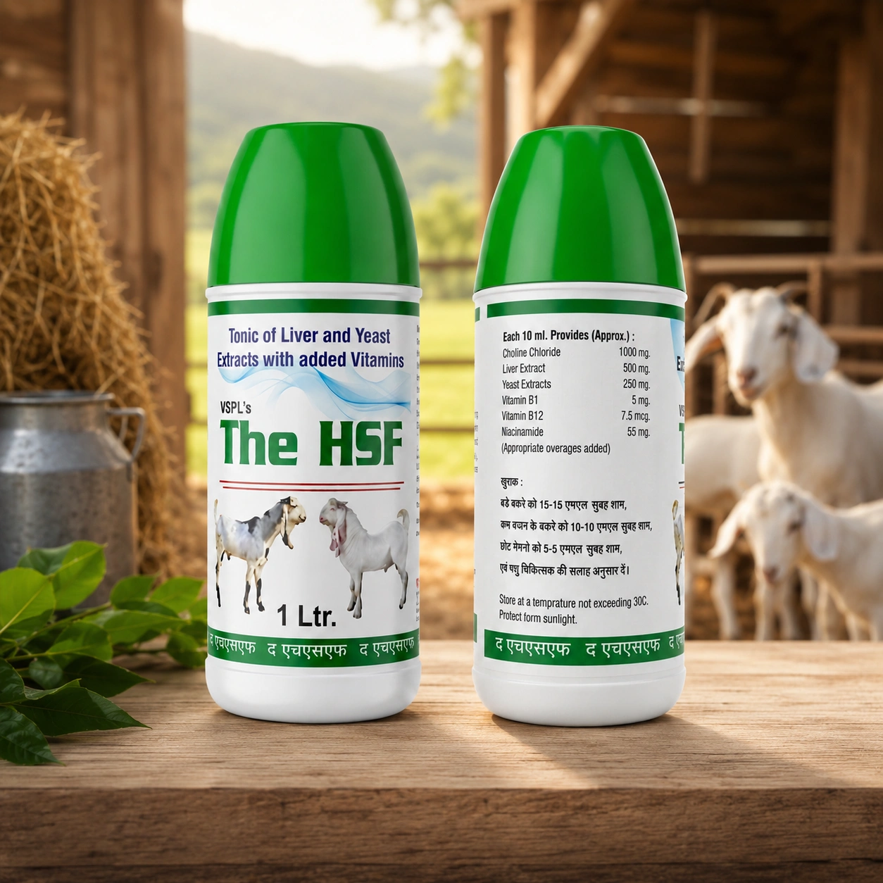 THE HSF